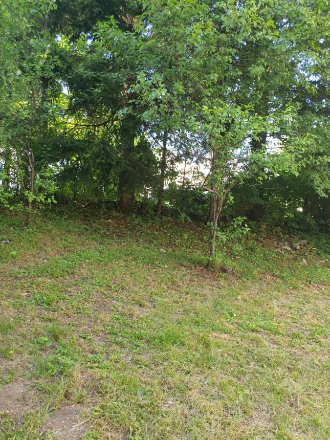 Apartman Runolist Delnice Esterno foto