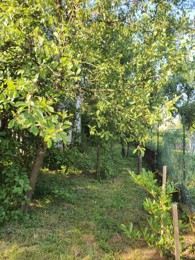 Apartman Runolist Delnice Esterno foto