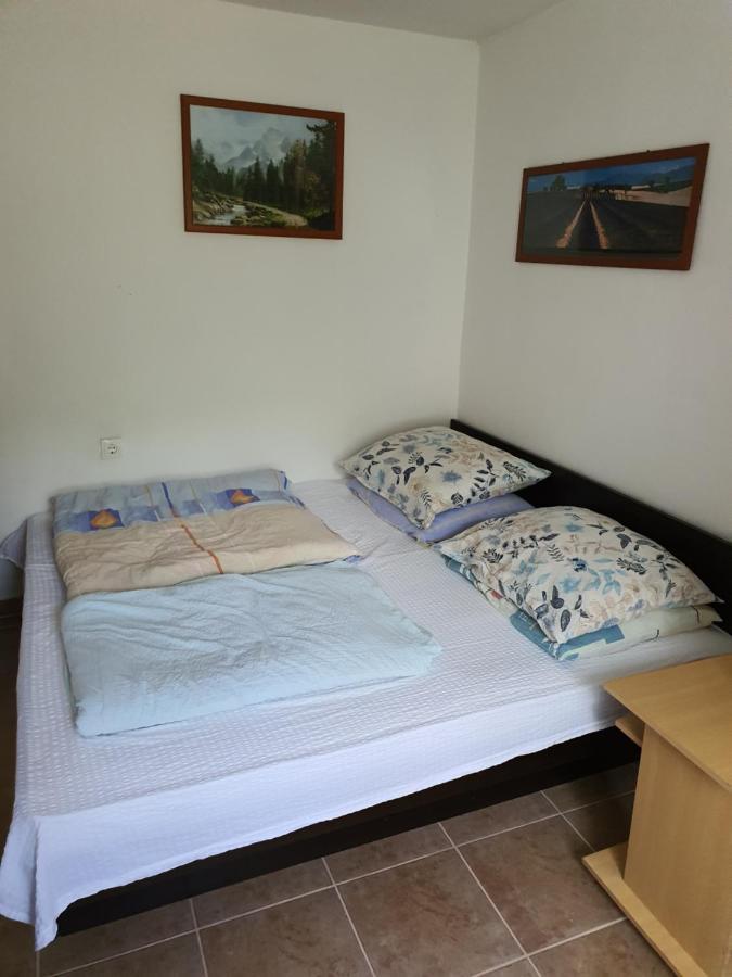 Apartman Runolist Delnice Esterno foto