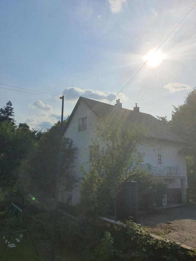 Apartman Runolist Delnice Esterno foto